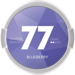 77 Blue Berry Light